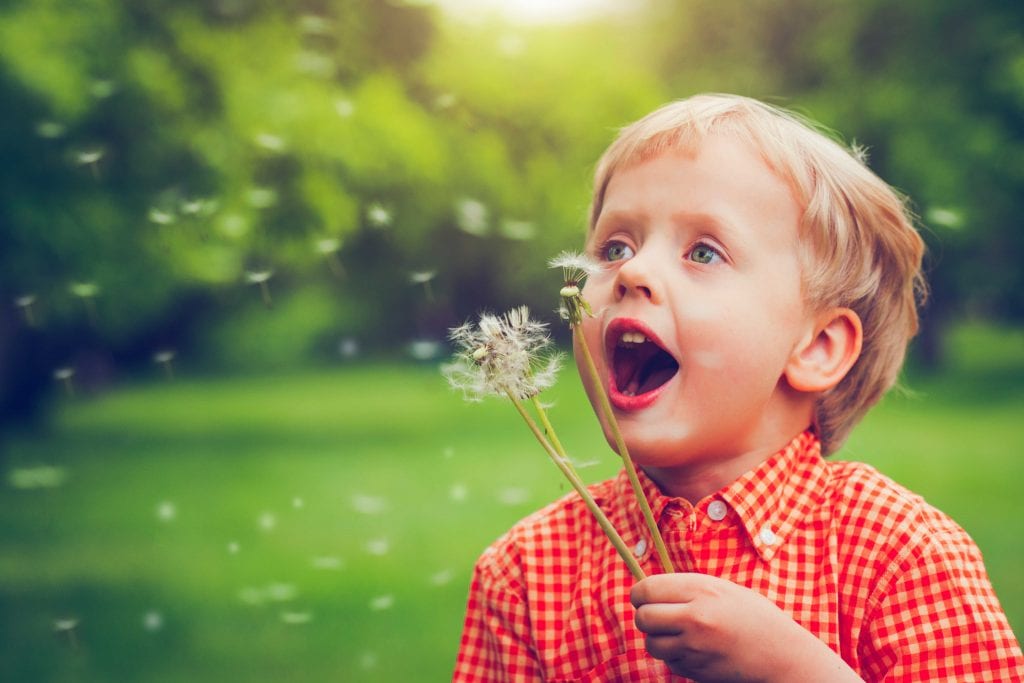 young boy blowing on dandelions