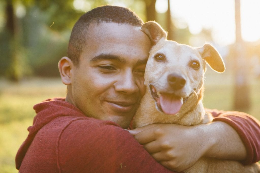 young man of african descent and a smile on his face hugging a dog with sunlight in the background