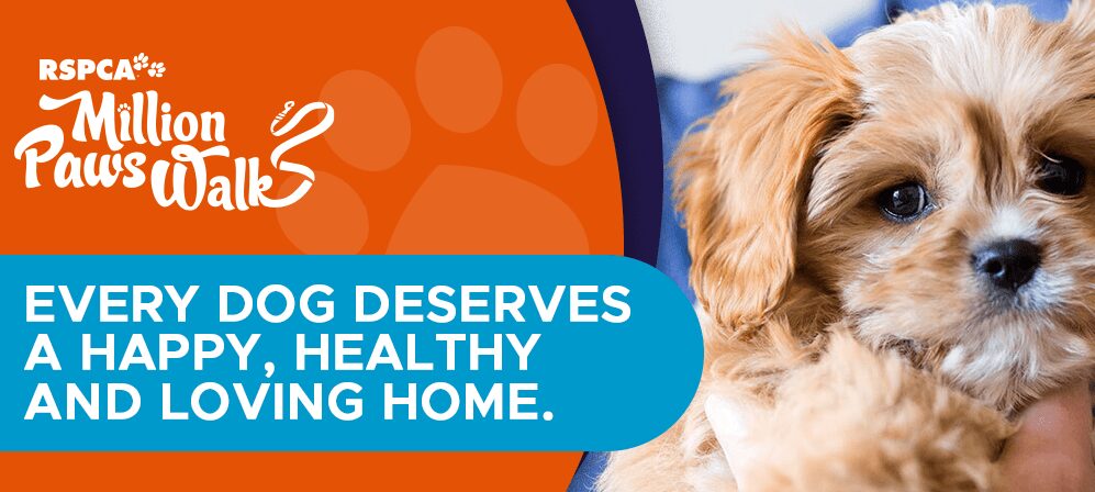 Almost $3000 Raised to Fight Animal Cruelty